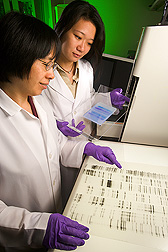 Li Li and Li-Wei Chiu examine prinout of genetic data. Link to photo information