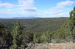 Photo: A landscape heavily populated with invasive western juniper trees. Link to photo information