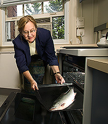 Pamela Pehrsson prepares an Alaskan Arctic char before nutrient analysis. Link to photo information