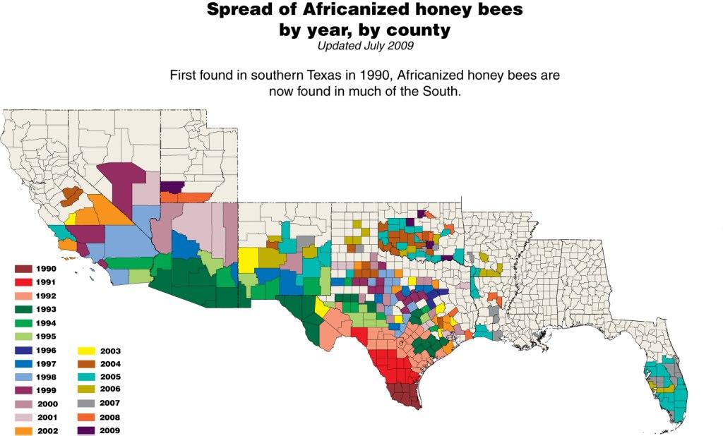 africanized bees map