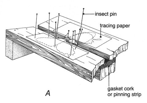 illustration of spreading board structure and use