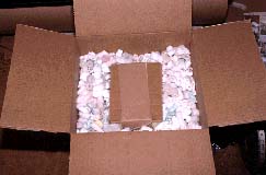photo of box with packing material and specimen box being readied for mailing