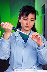 Research associate Hsiao-Ching Liu prepares a sample of chicken RNA. Link to photo information.
