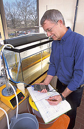 Chemical engineer separates corn and extract liquid: Click here for full photo caption.