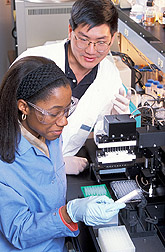 Technician and chemist measure enzyme activity: Click here for full photo caption.