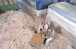 Agricultural engineer and engineering aid compare cotton gin byproducts: Click here for full photo caption.