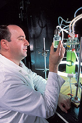 Microbiologist examines a culture of green algae: Click here for full photo caption.
