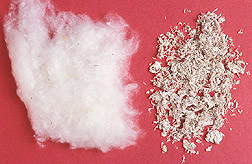 Untreated cotton fibers and regenerated nanocomposite fiber: Click here for full photo caption.