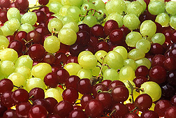 Grapes: Click here for photo caption.