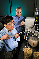 Chemical engineer (left) and research leader monitor a new process for converting barley into fuel ethanol: Click here for full photo caption.