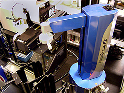 The blue robotic arm shown here moves plates of samples during automated tests: Click here for photo caption.