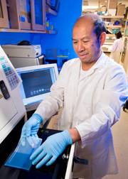 To prepare for a study of the anti-inflammatory effect of phytochemicals, molecular biologist performs a polymerase chain reaction test: Click here for full photo caption.