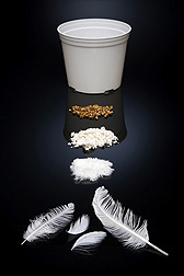 The first biodegradable flowerpot made from discarded chicken feathers: Click here for full photo caption.