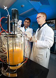 Chemist Badal Saha and technician Greg Kennedy collect a sample of a fungal culture to determine whether fermentation inhibitors are present after the pretreatment of wheat straw feedstock: Click here for full photo caption.