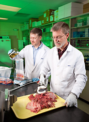 To determine the presence of Salmonella, Listeria, and non-O157:H7 E. coli in beef samples, technician (right) collects surface samples from boneless beef trim as microbiologist prepares a sample for eventual analysis: Click here for full photo caption.