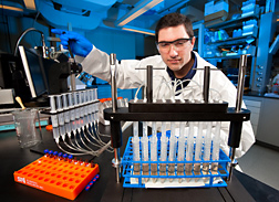 Chemist prepares samples for analysis to determine the presence of veterinary drug residues from kidney extracts: Click here for full photo caption.