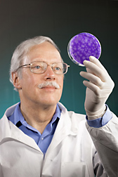 Microbiologist evaluates a hepatitis A virus assay: Click here for full photo caption.