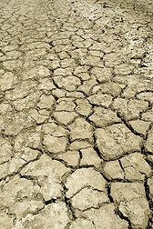 In California's San Joaquin Valley, high-clay saline-sodic soils can dry out and crack: Click here for full photo caption.