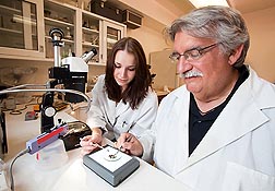 Entomologist Chris Geden and student assistant Rachel Dillard sort stable flies before injecting them with SGHV virus to determine its effects on fly mortality and reproduction: Click here for photo caption.