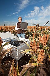 In a sorghum field, ARS technician Jourdan Bell (left) collects soil water content data from TDR (time-domain reflectometry) probes that measure crop water use. In the background, soil scientist Robert Schwartz observes grain fill in plants grown under deficit irrigation: Click here for photo caption.