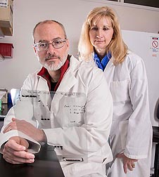 Microbiologists John Bannantine and Judy Stabel review results of a western blot experiment using the MAP specific monoclonal antibody: Click here for full photo caption.