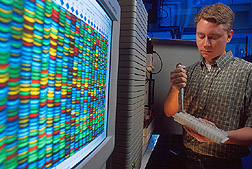 Geneticist Todd Ward uses DNA sequence data to track the global distribution of wheat scab. Link to photo information.