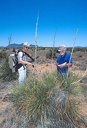 Two scientists take spectral reflectance measurements: Click here for full photo caption.