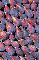 Fiber and Figs: Learn about Fiber in Figs: - Valley Fig Growers