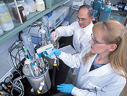 Chemist and technician convert vegetable oil into antifungal agents and other value-added bioproducts: Click here for full photo caption.