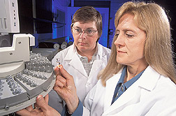 Plant biologist and food science professor examine a vial of oil: Click here for full photo caption.
