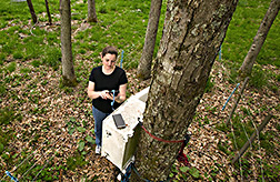 Technician collects data from instruments that record soil temperature and moisture: Click here for full photo caption.