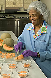 Laboratory support worker prepares cantaloupe samples for sensory evaluation: Click here for full photo caption.