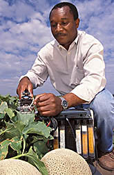 Plant physiologist measures photosynthetic activity of plants sprayed with potassium: Click here for full photo caption.