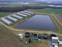 In Duplin County, North Carolina, a full-scale wastewater treatment system (foreground) that replaced the swine lagoon: Click here for photo caption.