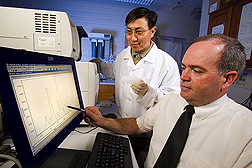Using an automated sequencer, molecular biologist (left) and entomologist study DNA samples from a boll weevil to identify the weevil's origin: Click here for full photo caption.