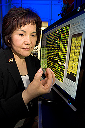 Immunologist holds a chicken gene chip that contains up to 10,000 chicken genes: Click here for full photo caption.