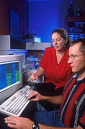 Geneticist and molecular biologist review DNA marker data from disease-resistant wheat: Click here for full photo caption.