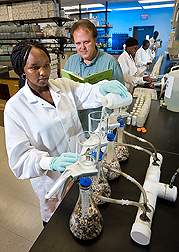 ARS chemist (center) works with UMES student (left) and other UMES students to measure arsenic levels in water samples from Princess Anne, Maryland: Click here for full photo caption.