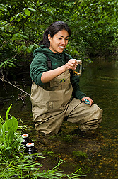 University of Maryland PhD student collects water samples for pesticide and antibiotics analyses in a stream within the Choptank River Watershed: Click here for full photo caption.