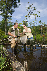 USDA Forest Service ecologist Megan Lang and herpetologist Joseph Mitchell (Mitchell Ecological Research Services, LLC) carefully search a wetland debris sample for amphibians: Click here for full photo caption.