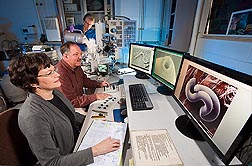 Plant pathologist Lynn Carta (left) and Gary Bauchan (center), director of the Electron and Confocal Microscopy Unit, use a low-temperature scanning electron microscope to view nematode anatomical structures useful for species identification. In the background, support scientist Charlie Murphy adds liquid nitrogen: Click here for full photo caption.