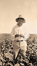 The USDA Pink Bollworm Project Photograph Collection includes this 1917 image of USDA inspector Ivan Shiller, who found the first pink bollworm in the United States in Herne, Texas: Click here for photo caption.