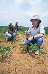 ARS hydrologist Tom Jackson and student Parmecia Jones use different methods to test soil moisture: Click here for photo caption.
