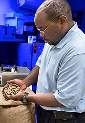 Postdoctoral engineer Micah Lewis visually inspects peanuts for quality factors before checking the peanut moisture content using the meter behind him.