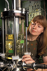 Chemical engineer Patricia Slininger prepares a culture medium in a fermentor. Click here for full photo caption.