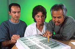 Technician and graduate students analyzing film: Click here for full photo caption.
