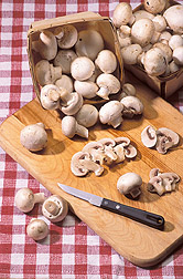 Button mushrooms: Click here for full photo caption.