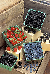 Strawberries, blackberries, and blueberries: Click here for full photo caption.