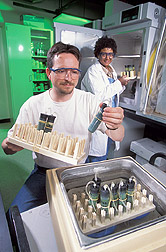 Molecular biologist places experimental "silos" in a water bath and the technician behind him will analyze the contents: Click here for full photo caption.