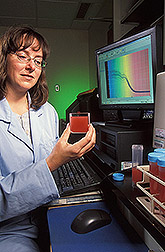 Plant geneticist measures lycopene content of puree: Click here for full photo caption.